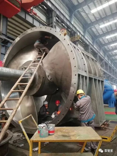 大大大大大泵, 能做到多大