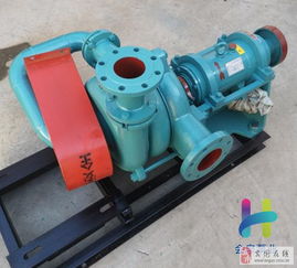 西伯章45kw壓濾機入料泵 臥式全貫流泵的專業(yè)解析